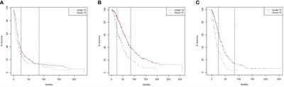 Effectiveness and safety of standard chemotherapy in older patients with ovarian cancer: a retrospective analysis by age group and treatment regimen